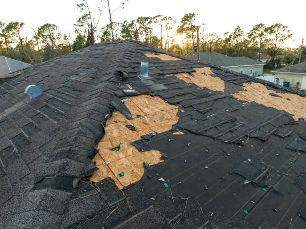 Best Roof Maintenance and Cleaning  in North Auburn, CA